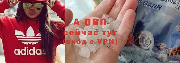 ГАЛЛЮЦИНОГЕННЫЕ ГРИБЫ Бородино